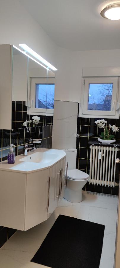 Schoene Und Optimal Gelegene Wohnung Og Weisskirchen Exterior photo